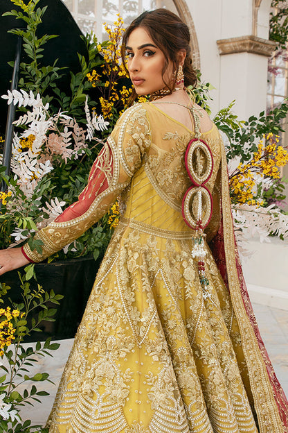 Imrozia-IB-19 Ana - Riwayat-e-khas