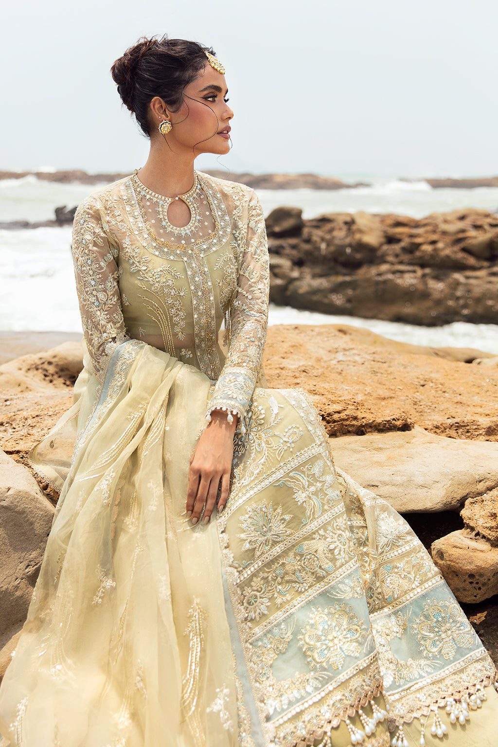 Afrozeh | Dastangoi Wedding Formal'24 | AWE-09 LEELA - House Of Anaya