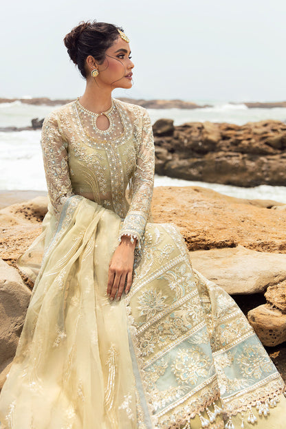 Afrozeh | Dastangoi Wedding Formal'24 | AWE-09 LEELA - House Of Anaya