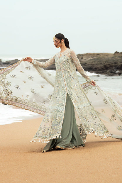 Afrozeh | Dastangoi Wedding Formal'24 | AWE-08 SHANZAY - House Of Anaya