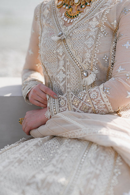 Qalamkar - SAAHIL LUXURY LAWN’23 - SP-01 AIYLA - TC-326 - Riwayat-e-khas