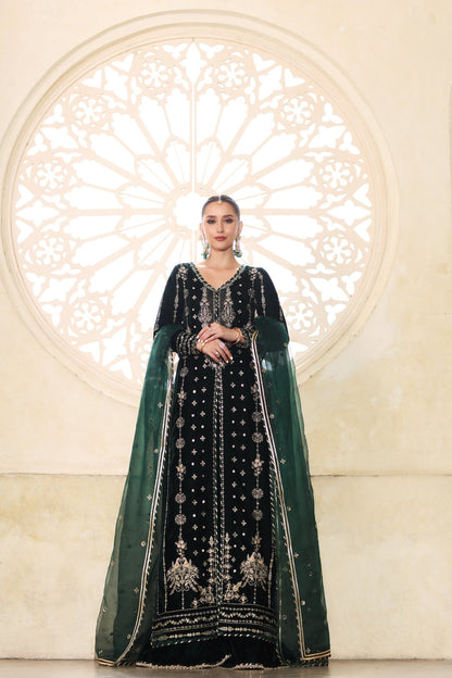 Noor by Saadia Asad | Handcrafted Velvet 25 |Zamurrud