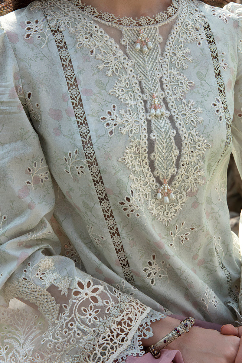 QALAMKAR QLINE-AK-12 GIZA-LAWN COLLECTION'23 - Riwayat-e-khas