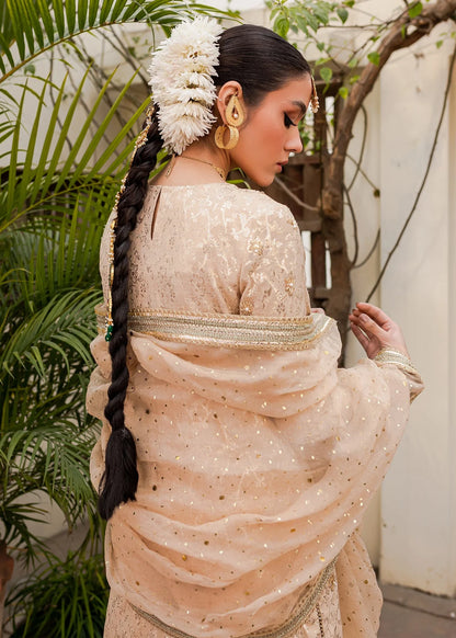 Kanwal Malik | Afreen Collection | Shama