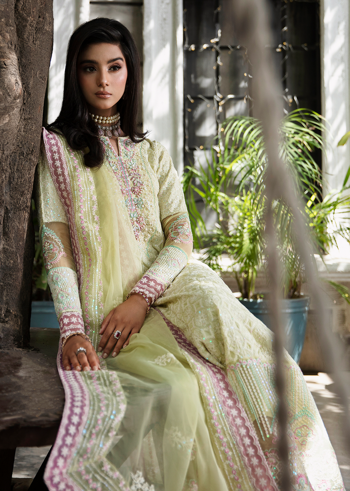 Maria Osama Khan | Rang e Noor Eid Edit | Nargis - House Of Anaya