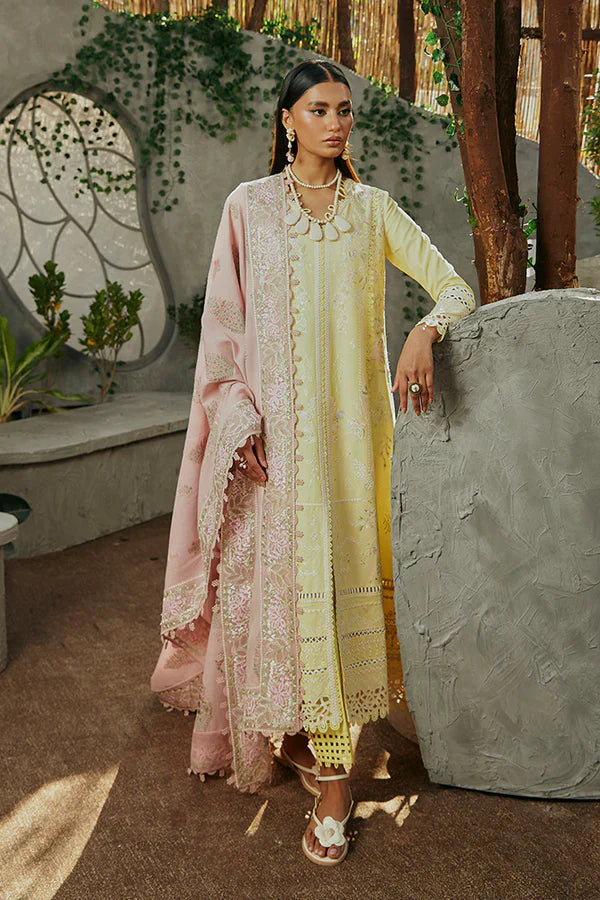 Suffuse | Casual Pret Eid 24 | Amriti - House Of Anaya