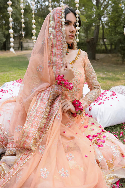 Zarposh | Safarnama 22 | PASTELLA