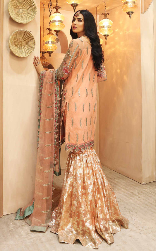 Waqas Shah | Ishq Naama | AVIANA ROSE - House Of Anaya