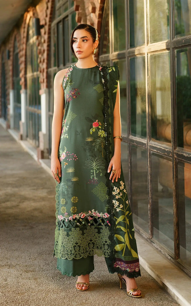 Asifa and Nabeel | Meraki Winter 25 | Jade Dusk