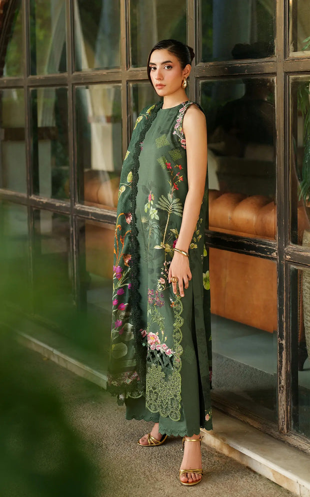 Asifa and Nabeel | Meraki Winter 25 | Jade Dusk