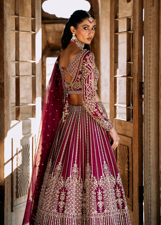 Kanwal Malik | Sajni Wedding 2024 |  Raina