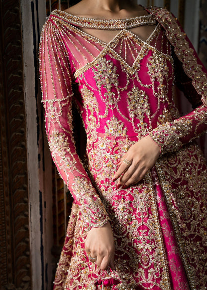 Kanwal Malik | Sajni Wedding 2024 |  Sarosh