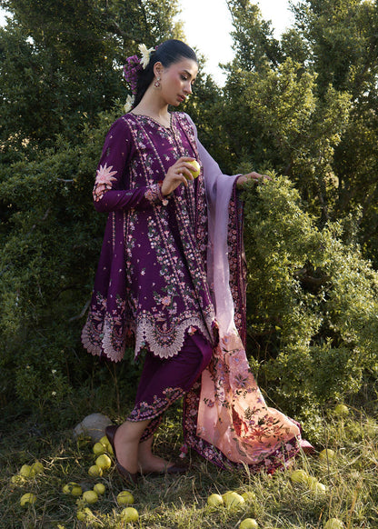 Hussain Rehar Lyla | Plum Panelled Peplum & Tulip Shalwar Lawn Suit
