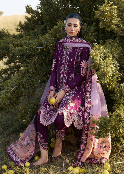 Hussain Rehar Lyla | Plum Panelled Peplum & Tulip Shalwar Lawn Suit