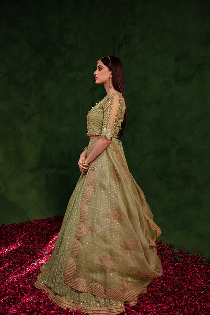 Maria Osama Khan | Salma Sitara | PARAS - House Of Anaya