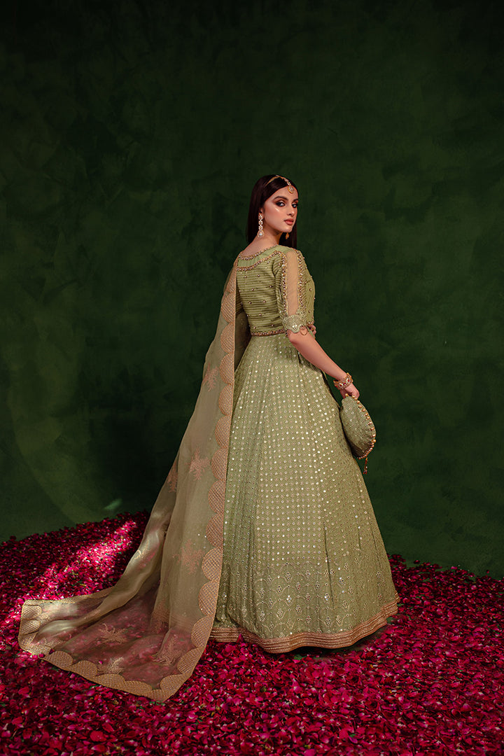 Maria Osama Khan | Salma Sitara | PARAS - House Of Anaya