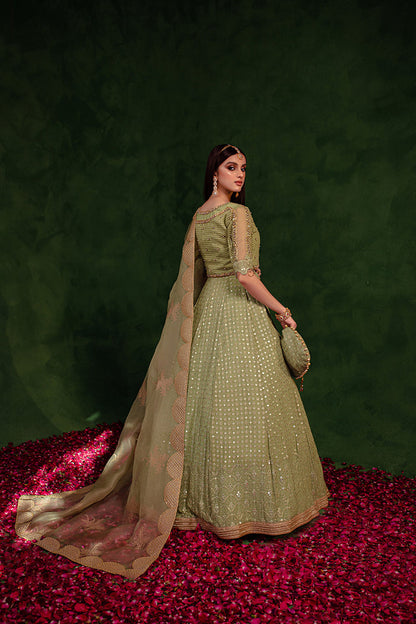 Maria Osama Khan | Salma Sitara | PARAS - House Of Anaya