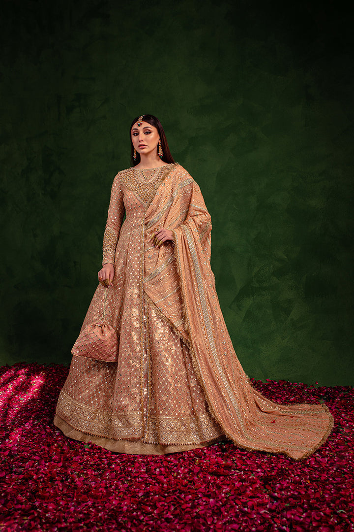 Maria Osama Khan | Salma Sitara | VASL - House Of Anaya