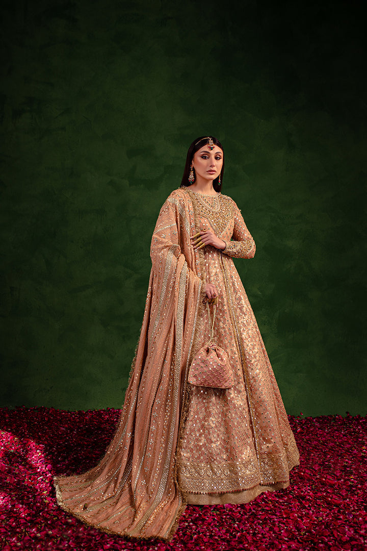 Maria Osama Khan | Salma Sitara | VASL - House Of Anaya