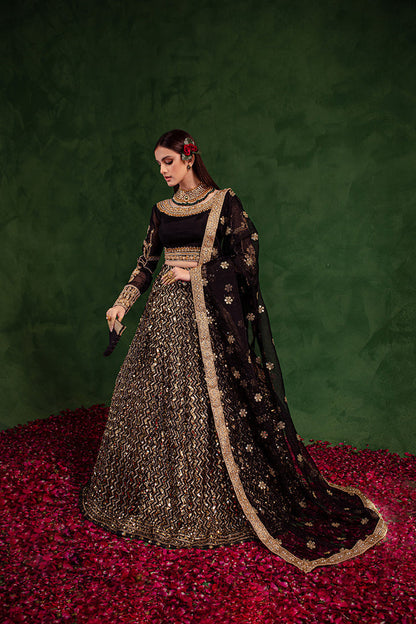 Maria Osama Khan | Salma Sitara | RAQS - House Of Anaya