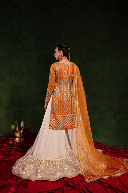 Maria Osama Khan | Salma Sitara | HIJR - House Of Anaya