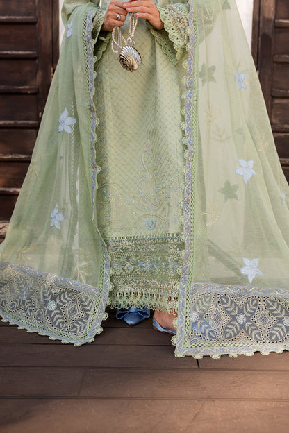 Marjjan | Fasana Lawn | MBL-11 B