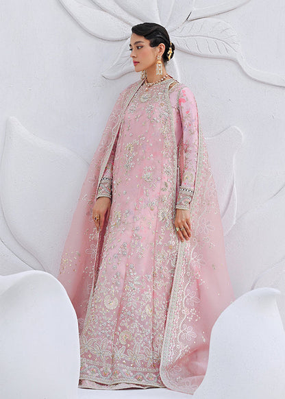 Suffuse | Freeshia Formal | FALEK