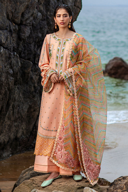 MNR | Festive Lawn 24 | RANI - House Of Anaya