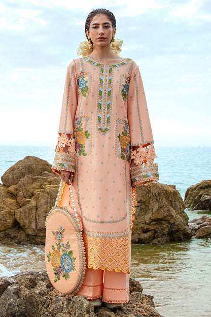 MNR | Festive Lawn 24 | RANI - House Of Anaya