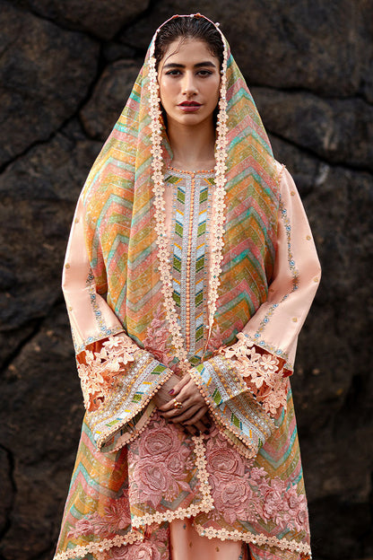 MNR | Festive Lawn 24 | RANI - House Of Anaya