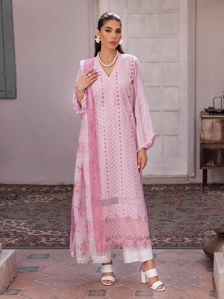 Rajbari | Nissa Chikankari Edition 25 | D# - 06 - House Of Anaya