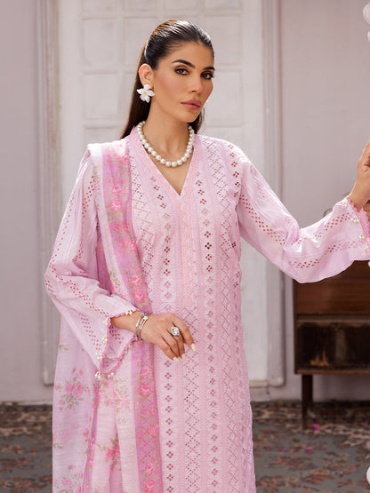 Rajbari | Nissa Chikankari Edition 25 | D# - 06 - House Of Anaya