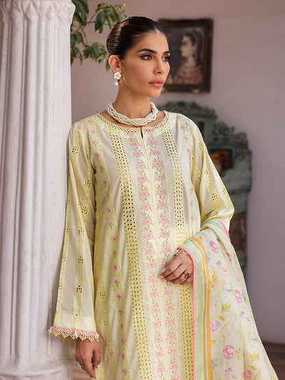 Rajbari | Nissa Chikankari Edition 25 | D# - 09 - House Of Anaya