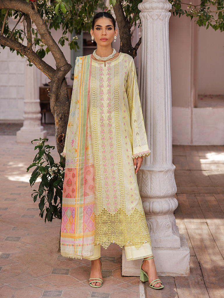 Rajbari | Nissa Chikankari Edition 25 | D# - 09 - House Of Anaya