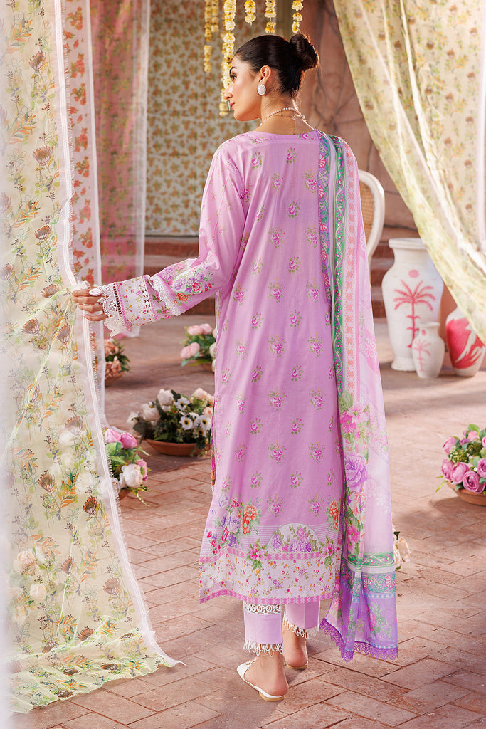 Rajbari | Exclusive Printkari 2024 | 2-B - House Of Anaya