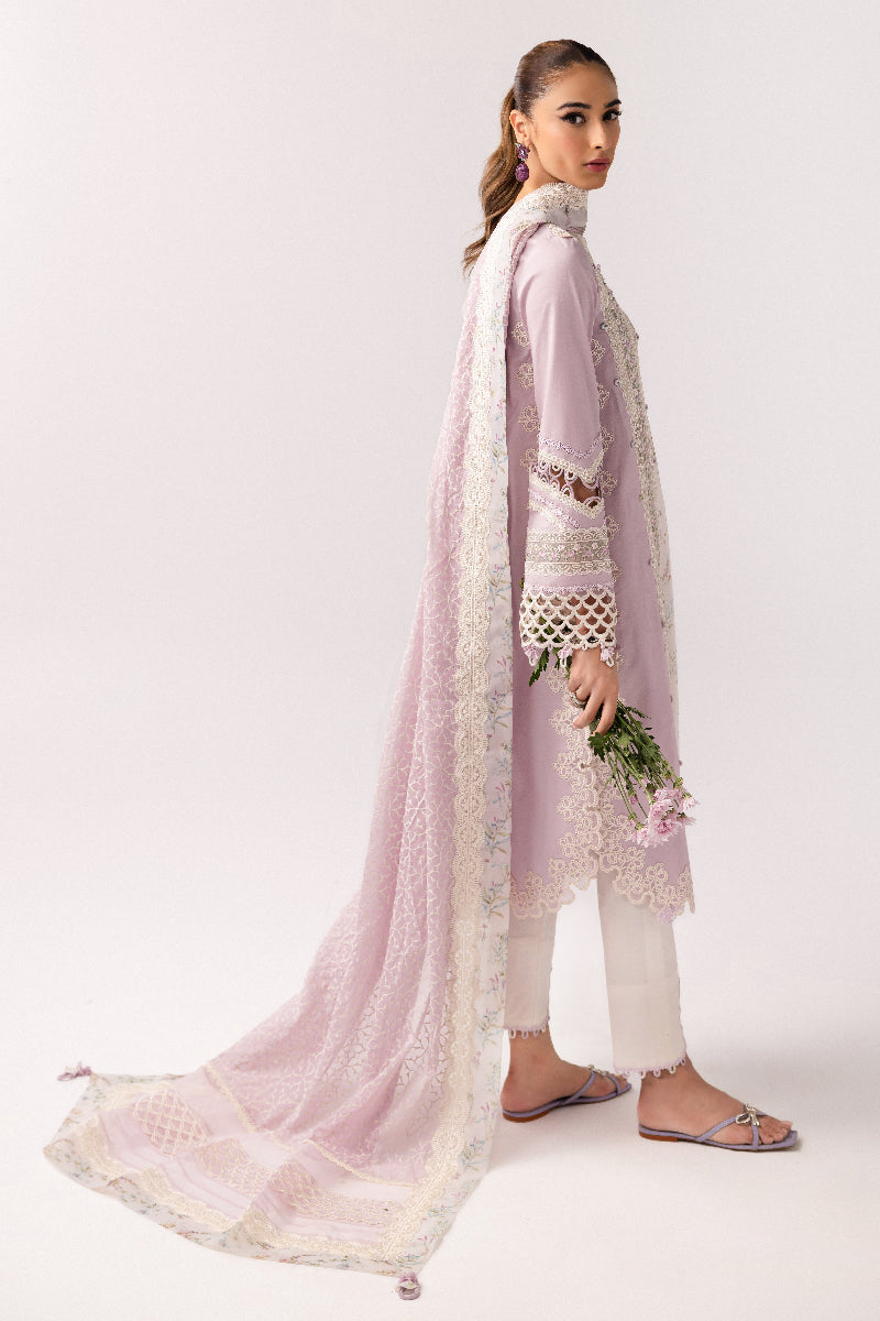 Qalamkar | Basic Pret 25 | KT-06 Zarina