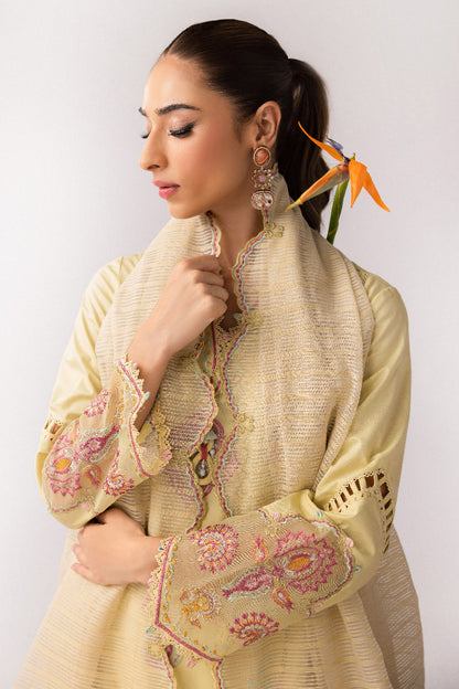 Qalamkar | Basic Pret 25 | KT-08 Afra