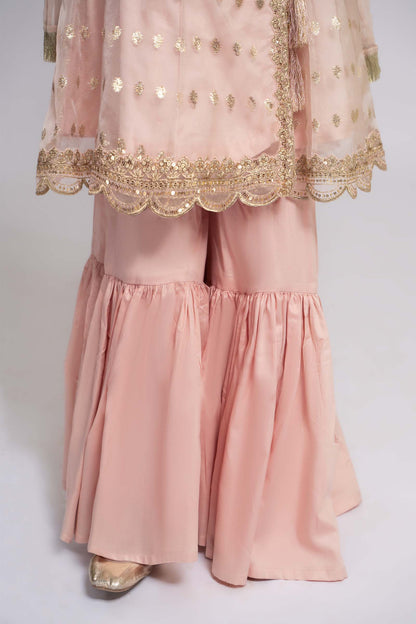 Maria B | 3 Piece Embroidered Organza Suit | MKS-EF24-18 - Libasekhas