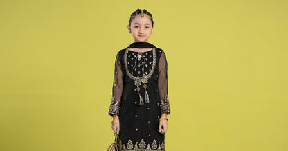 Maria B | 3 Piece Embroidered Organza Suit | MKS-EF24-37 - Libasekhas