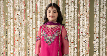 Maria B | 3 Piece Embroidered Organza Suit | MKS-EF25-16 - Libasekhas