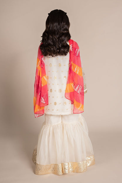 Maria B | 3 Piece Embroidered Organza Lurex Suit | MKS-EF25-20 - Libasekhas