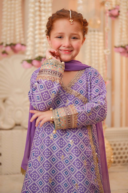 Maria B | 3 Piece Embroidered Raw Silk Suit | MKS-W24-20 - Libasekhas