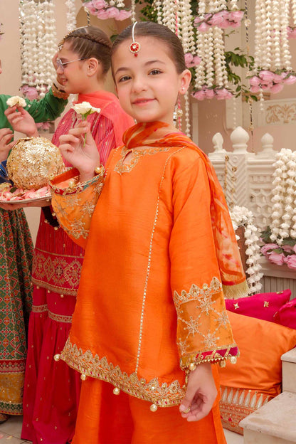 Maria B | 3 Piece Embroidered Raw Silk Suit | MKS-W24-31 - Libasekhas