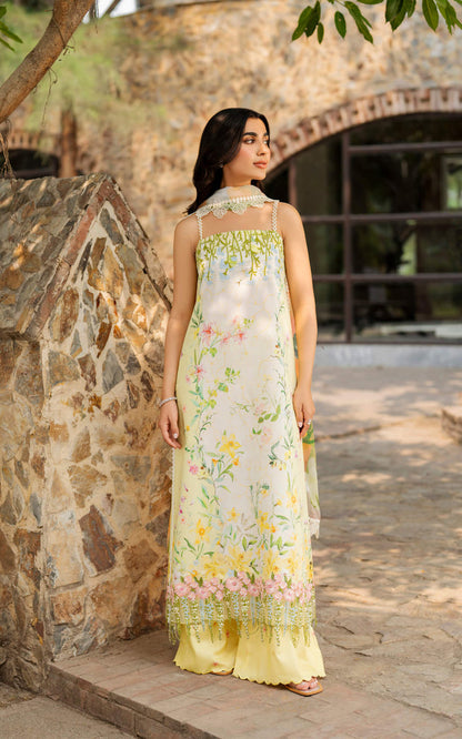 Asifa and Nabeel | Meraki SUmmer 26 | Orchid MSSL-01