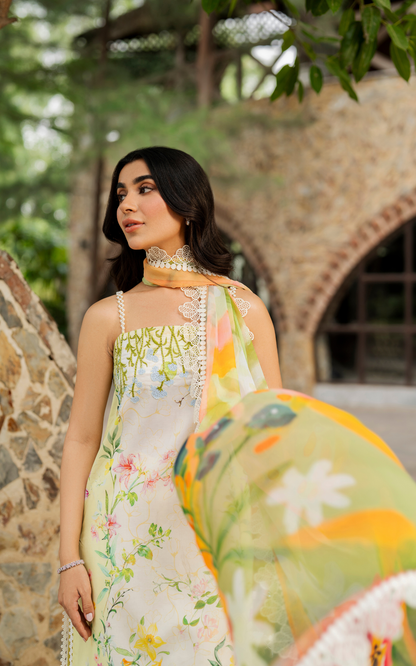 Asifa and Nabeel | Meraki SUmmer 26 | Orchid MSSL-01