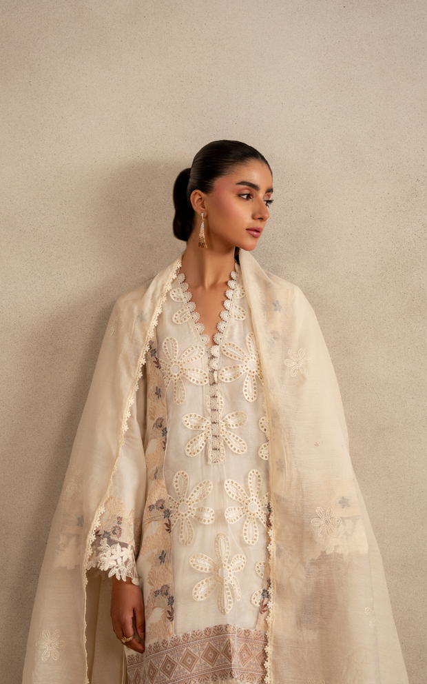 Asifa and Nabeel | Meraki SUmmer 26 | Cloud Nine MSSL-09