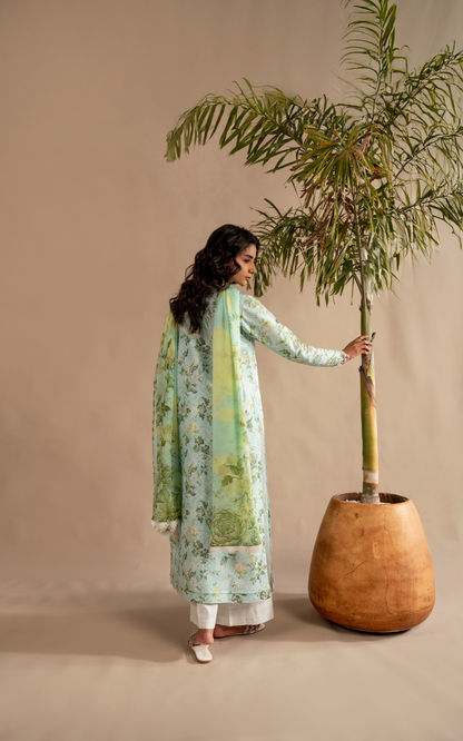 Asifa and Nabeel | Meraki SUmmer 26 | Mint Mosaic MSSL-12