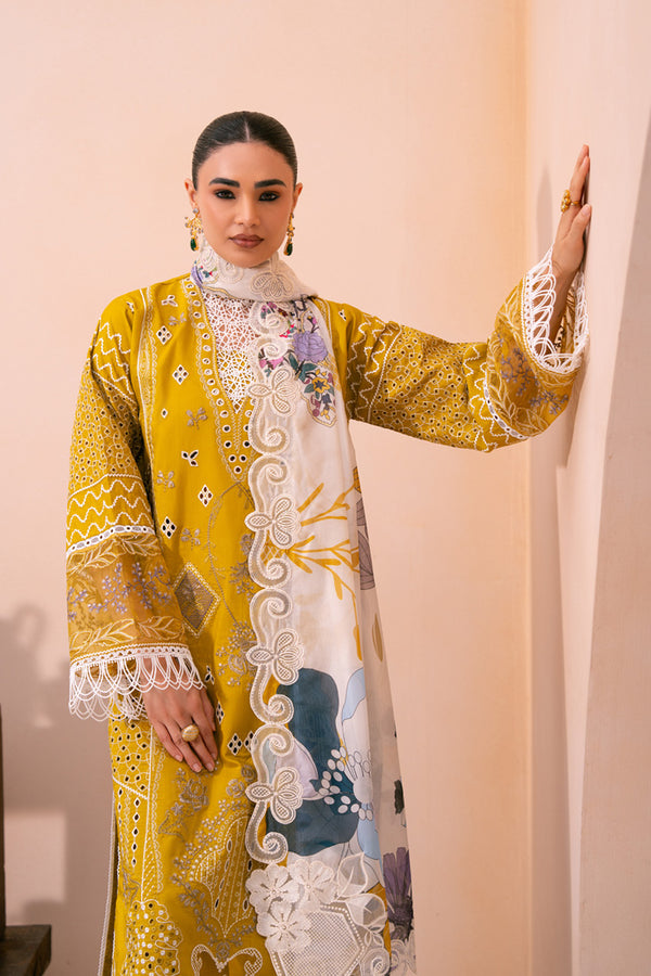 Marjjan | Amani Luxe | MSV-02 B