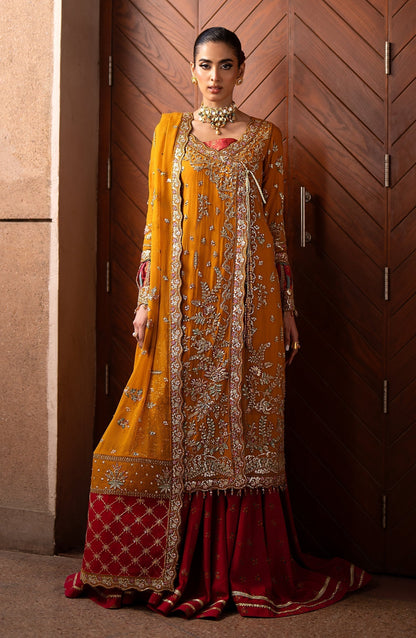 Emaan Adeel | Casabella Wedding Formals | SOLENE - House Of Anaya