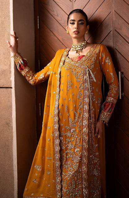 Emaan Adeel | Casabella Wedding Formals | SOLENE - House Of Anaya